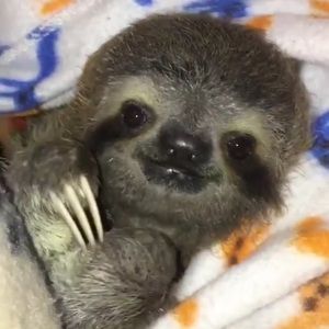 Meet your Posher, Tyrone